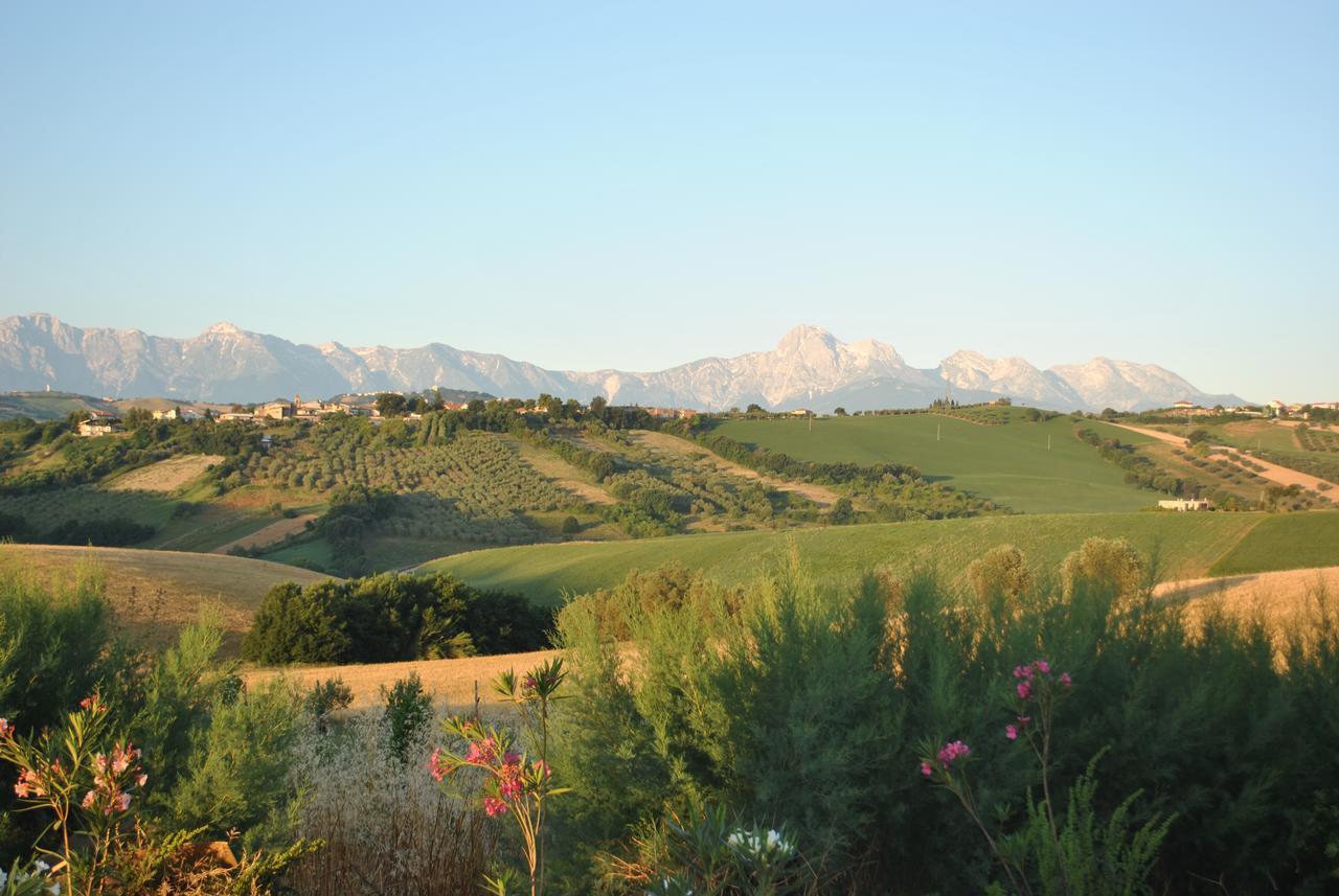 Il Frutteto Bed And Breakfast Ripattone Kültér fotó